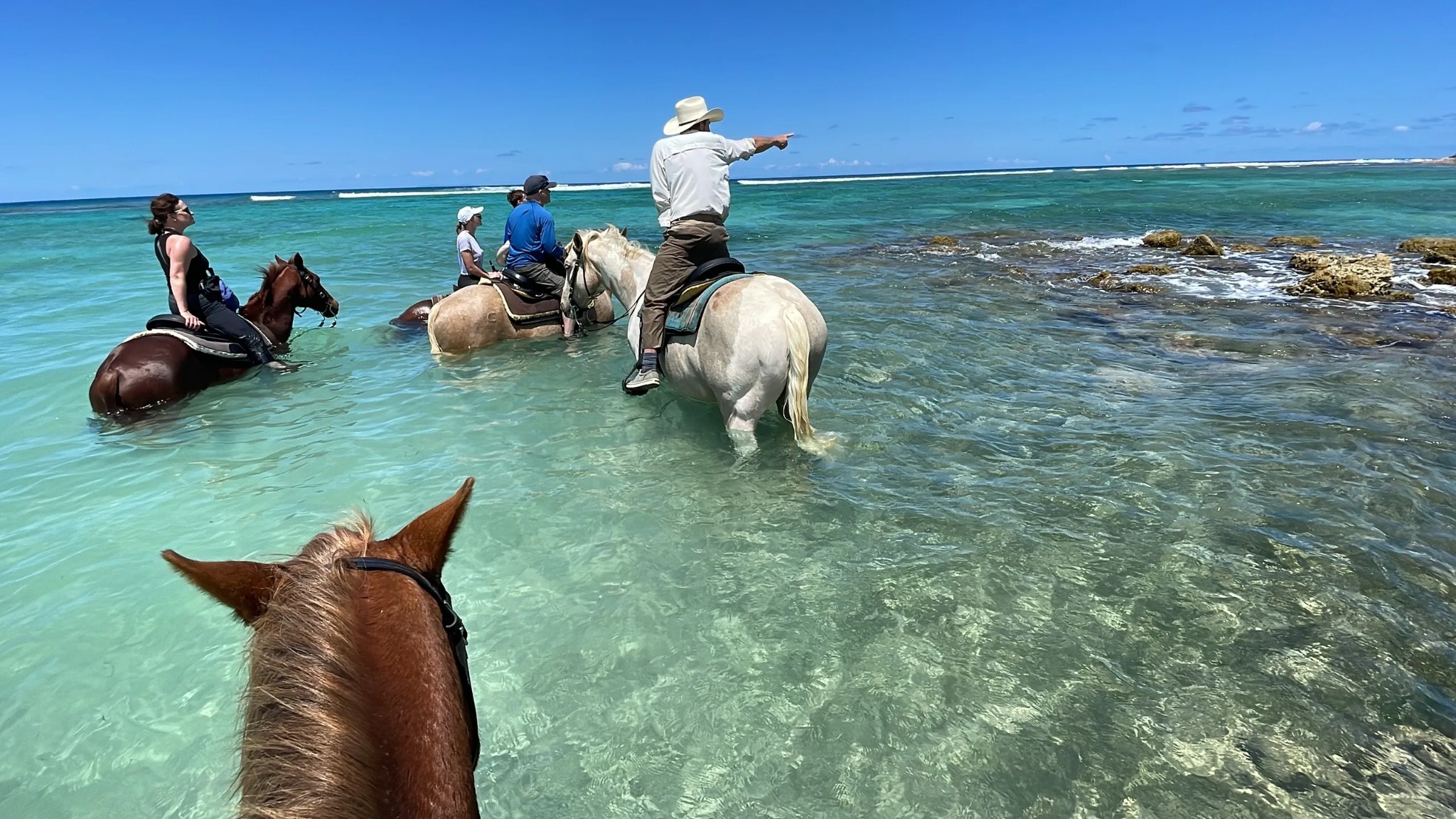 Horseback riding