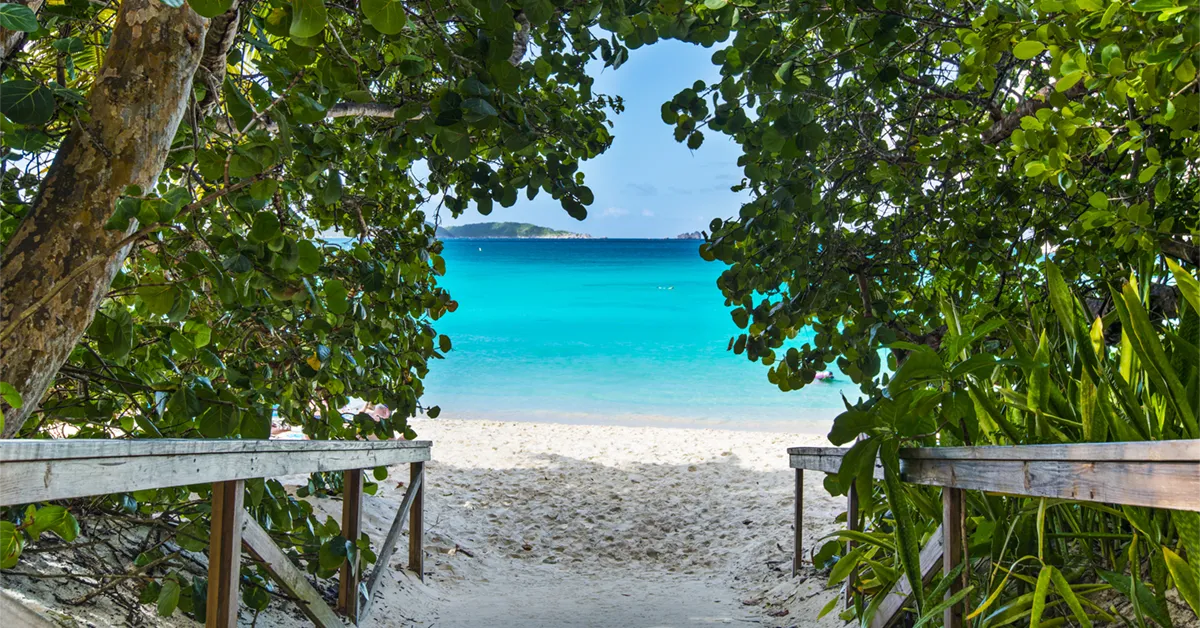 Trunk Bay